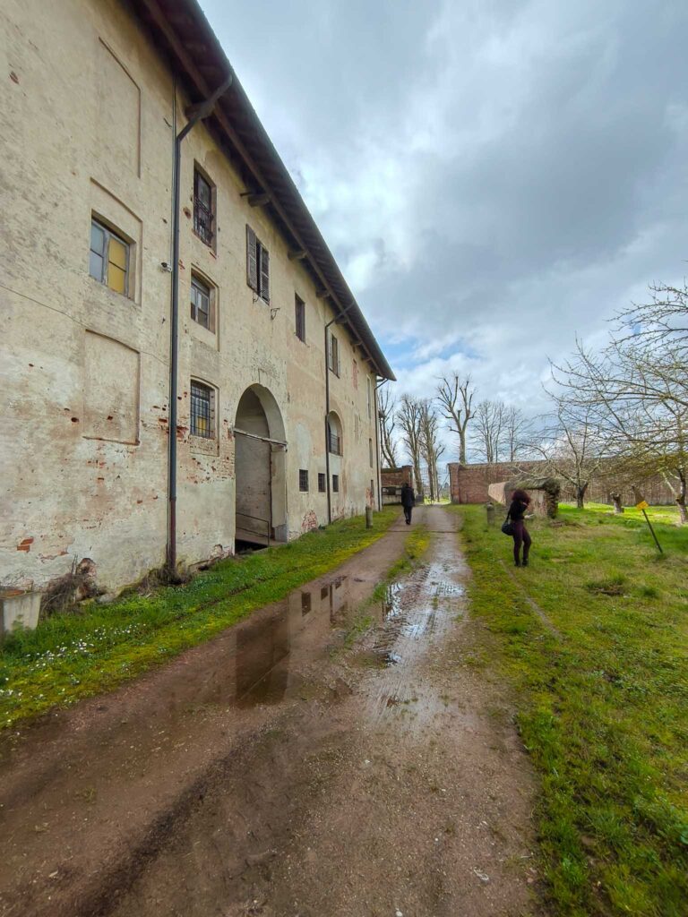 Certosa di Pavia